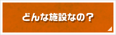 どんな施設なの？