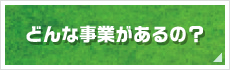 どんな事業があるの？